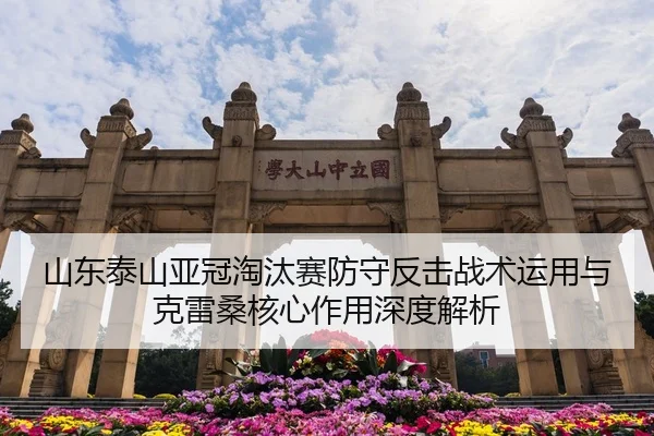 shan-dong-tai-shan-ya-guan-tao-tai-sai-fang-shou-fan-ji-zhan-shu-yun-yong-yu-ke-lei-sang-he-xin-zuo-yong-shen-du-jie-xi-1-411.jpg