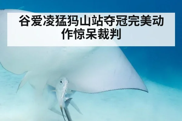谷爱凌猛犸山站夺冠完美动作惊呆裁判
